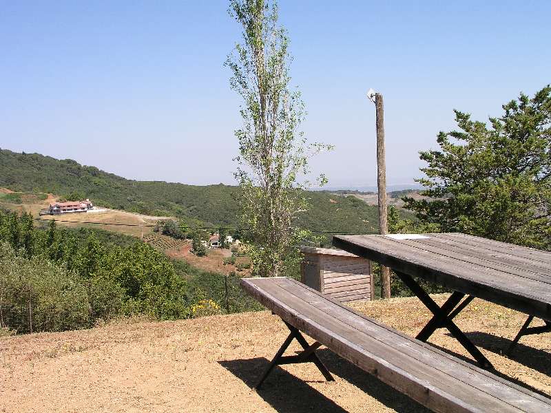 Ridge June 2003 009