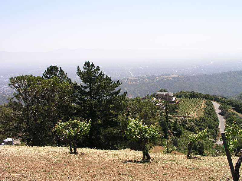 Ridge June 2003 013