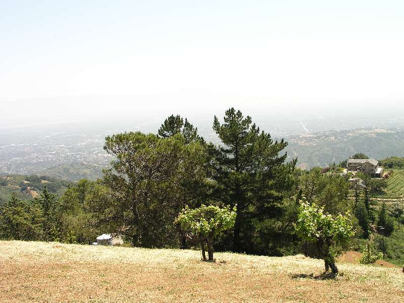 Ridge June 2003 014