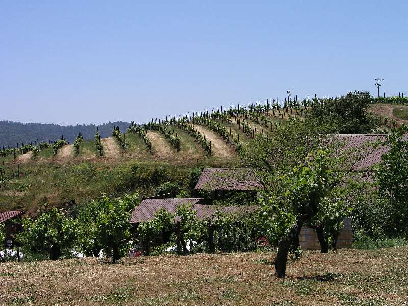 Ridge June 2003 079