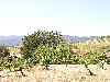 Ridge June 2003 003