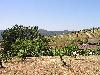 Ridge June 2003 004