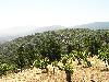 Ridge June 2003 016
