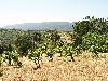 Ridge June 2003 017