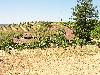Ridge June 2003 019
