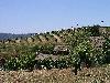 Ridge June 2003 079