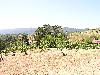 Ridge June 2003 085