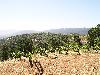 Ridge June 2003 096
