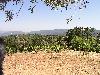 Ridge June 2003 125